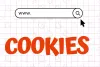Як очистити файли cookies